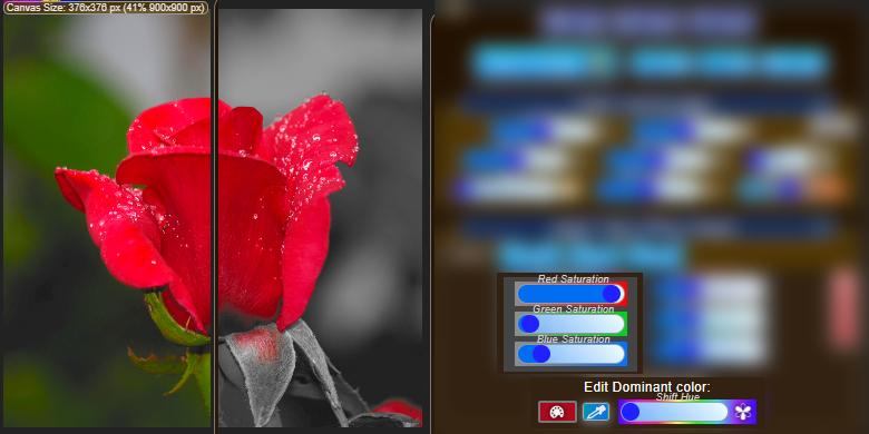 Function Selective Coloring can be applied to any photo